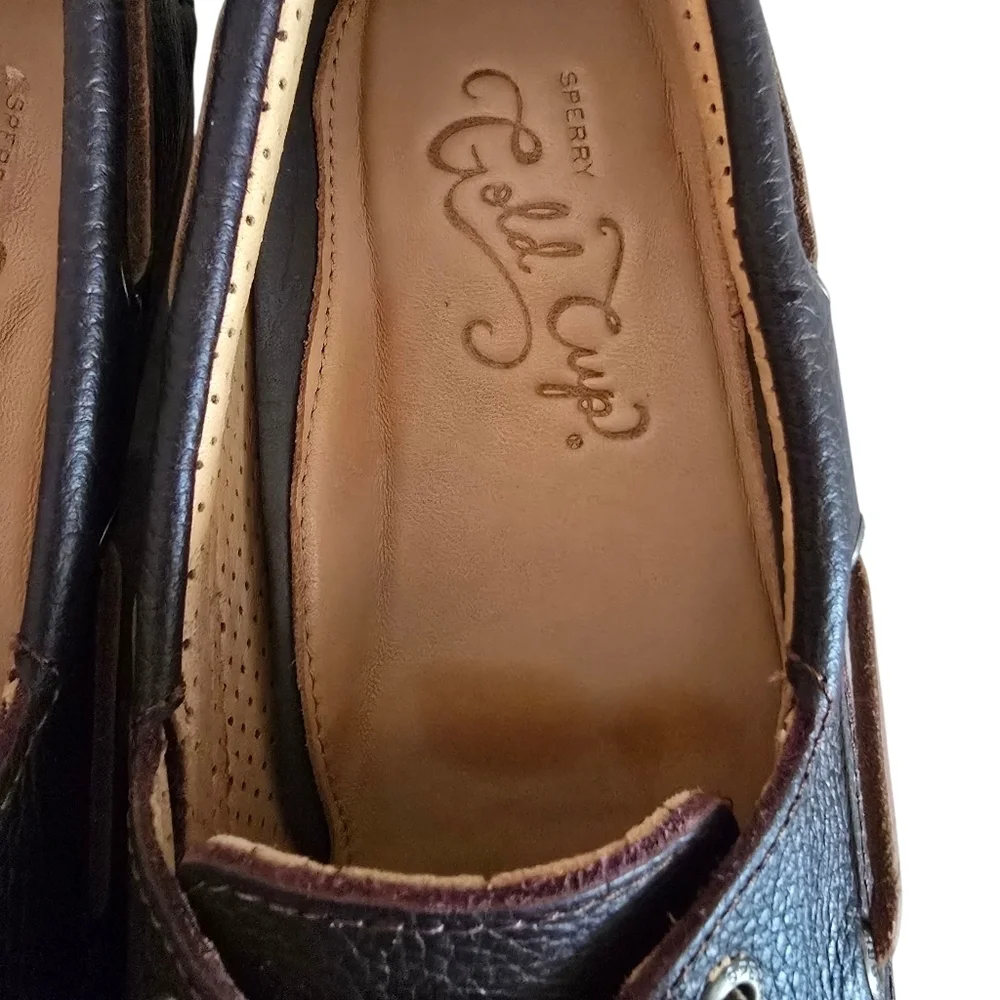 Sperry Gold Cup Topsiders Men's Dark Brown Leather Boat Shoes